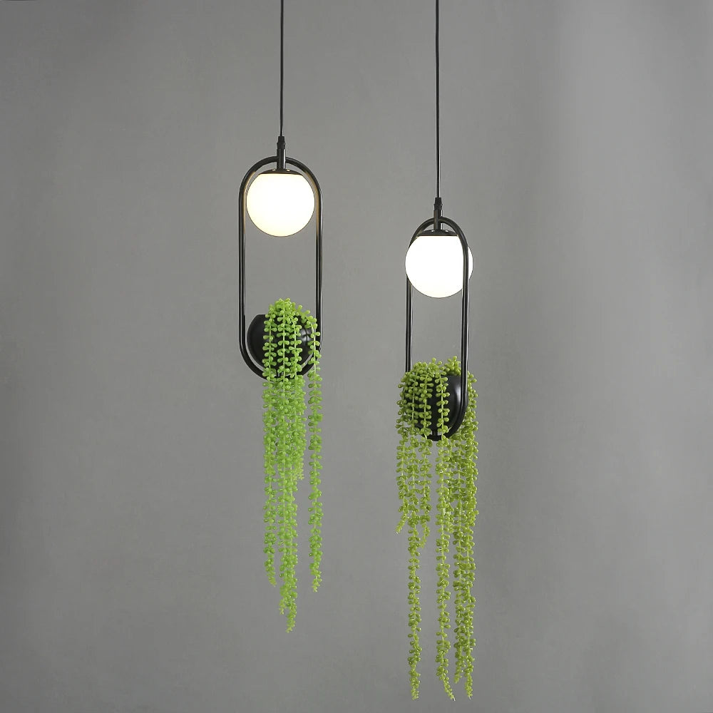 Luminária de Teto Pendente Vaso com Planta